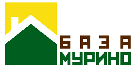 логотип База Мурино